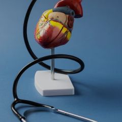 Home - 66 - Aritmie Cardiache Home - 65 - Aritmie Cardiache